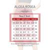 imageALCEA ROSEA Women High Waist Silky Satin Midi Skirt Elastic Waist A Line Skirt with SlitRed