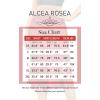 imageALCEA ROSEA Women High Waist Silky Satin Midi Skirt Elastic Waist A Line Skirt with SlitTomato